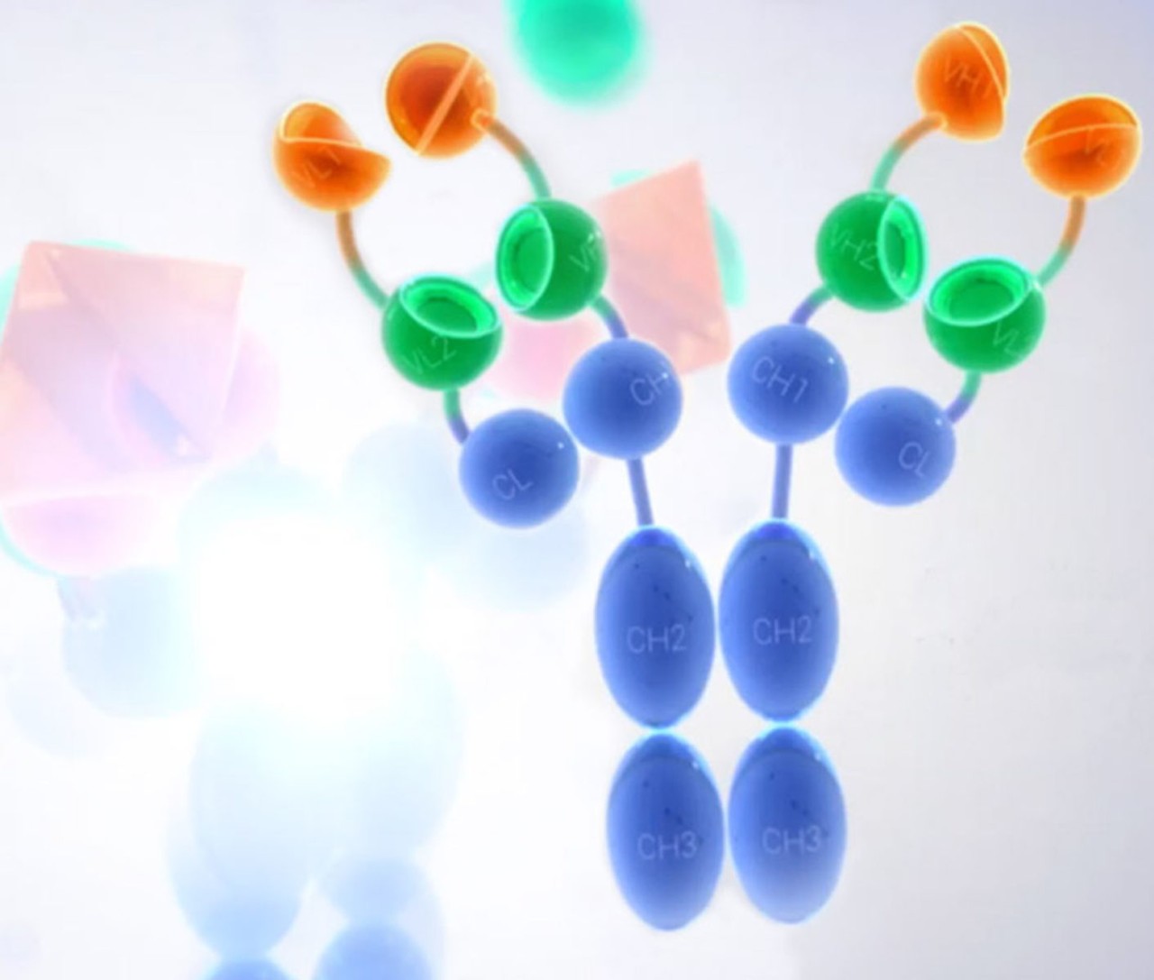 Colorful graphic of antibodies